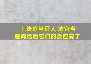 上法庭当证人 法官当庭问话后它们的反应亮了